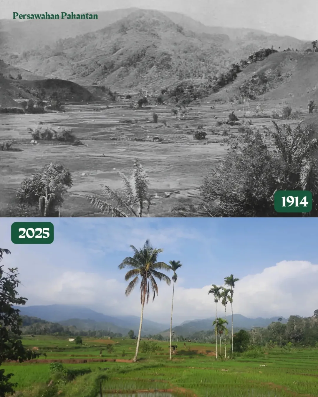 Persawahan Pakantan, 1914 dan 2025